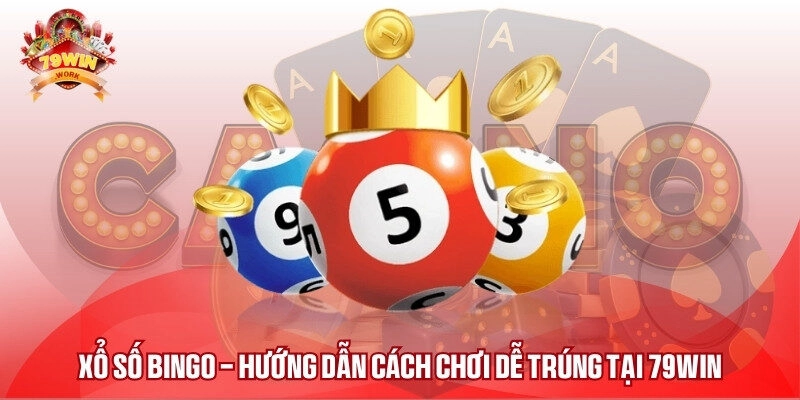 Kinh nghiệm đánh xổ số Bingo giúp thắng đậm